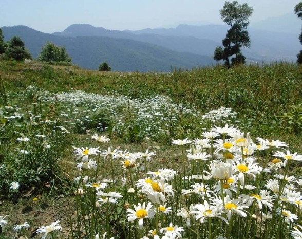 Top 10 Treks in India for Beginners