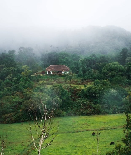 Beyond the Trek: Top Things to Do in Chikmagalur