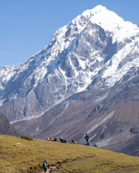 Best Rhododendron Treks in India: Witness Nature’s Bloom in Spring