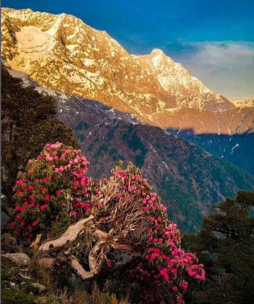 Top 10 Treks in India for Beginners