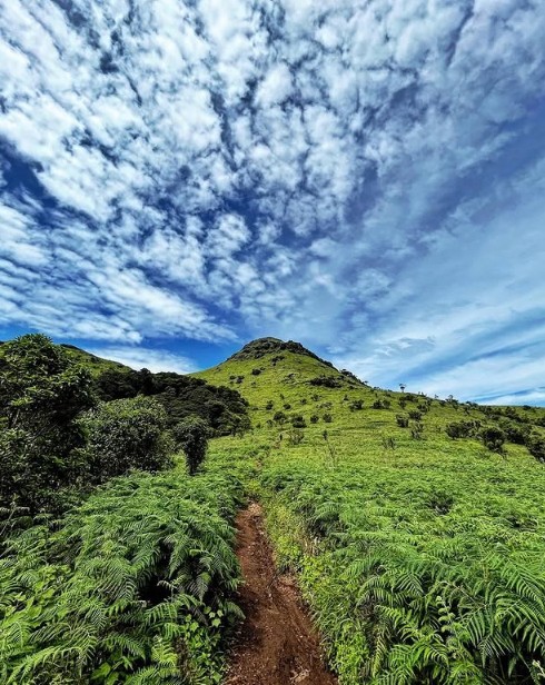 Seasonal Trekking in India