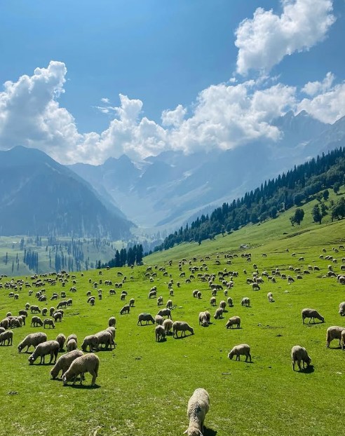 Kashmir Great Lakes Trek