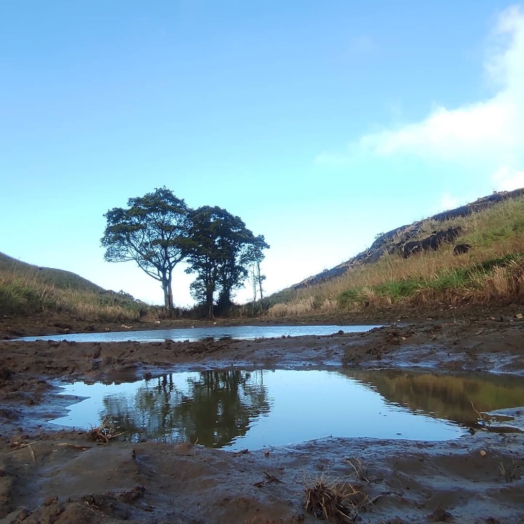 Chembra Peak Trek