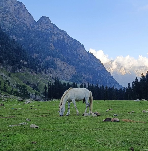  Instagrammable Treks in India