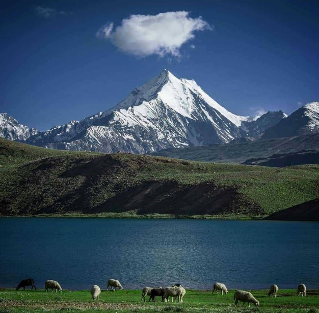 chandratal trek