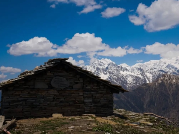 pankhu Top