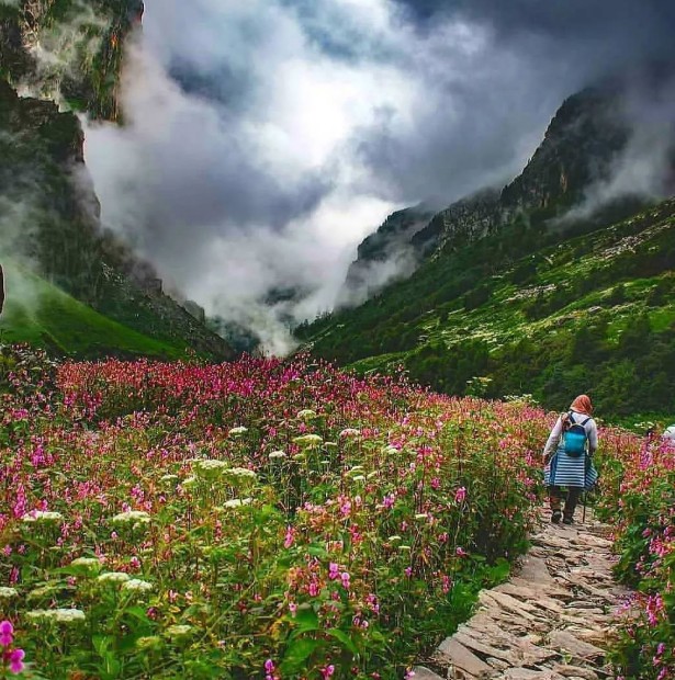 Top 7 Must-Do Treks in India for 2025