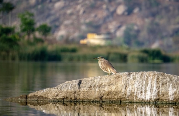 Manchanabele dam