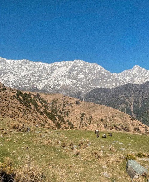 triund trek
