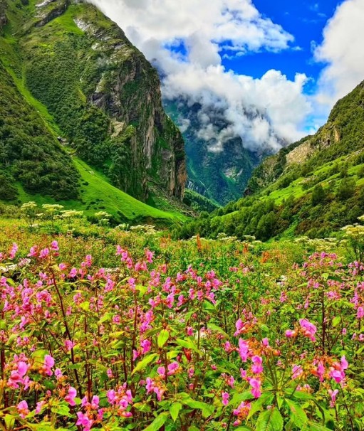 Valley of Flowers Trek