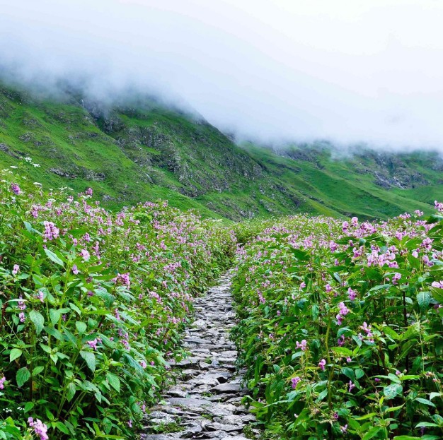 Mansoon Trek in India