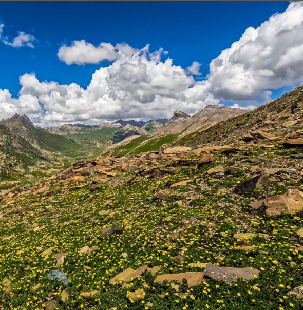  Instagrammable Treks in India