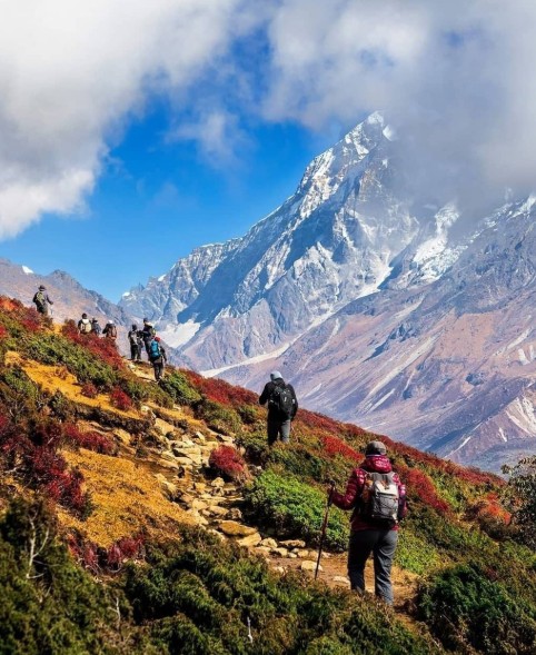 Best Rhododendron Treks in India: Witness Nature’s Bloom in Spring