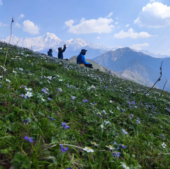 surya top trek