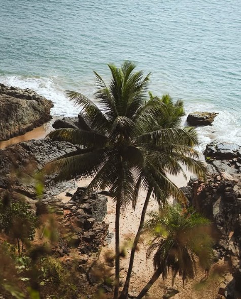 Budget-Friendly Travel in India