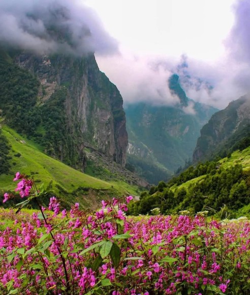 Best Treks to Do in India During Summer (April to June)