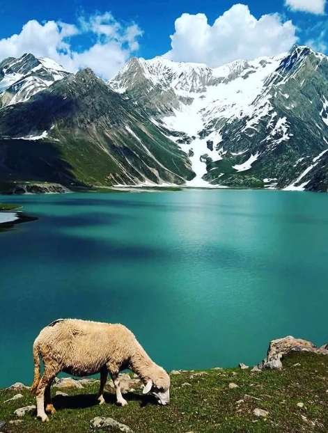 sheshnag lake trek