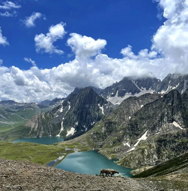 Top 7 Must-Do Treks in India for 2025