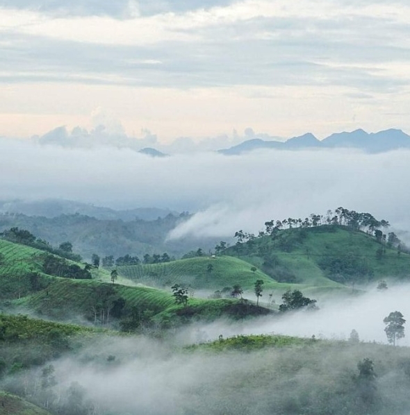 Trekking and Exploring the Wonders of Kerala